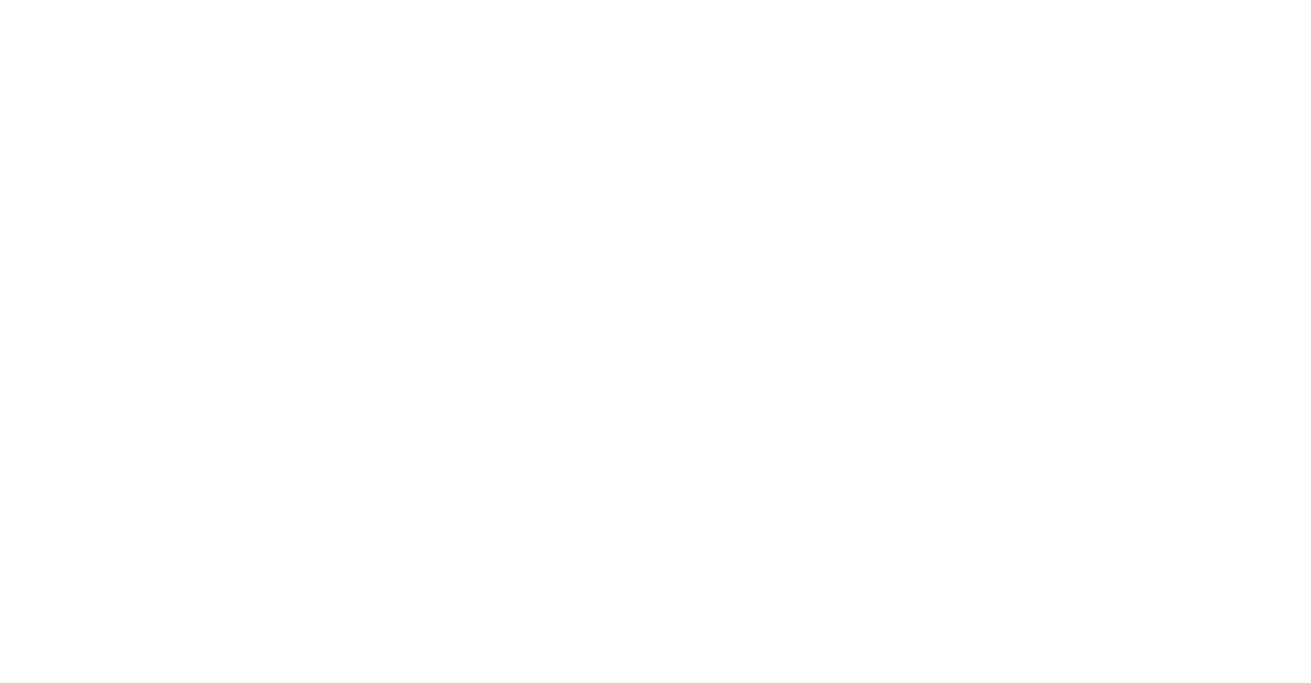 Eleva Invest Consultores